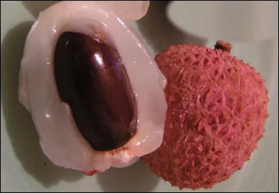 Quel est ce fruit tropical sphérique à la peau coriace d'aspect écailleux qui entoure une pulpe blanche savoureuse avec un noyau ?