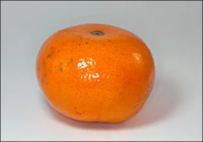 Quel est cet agrume proche de la mandarine, originaire du sud des États-Unis à l'épiderme rouge ?