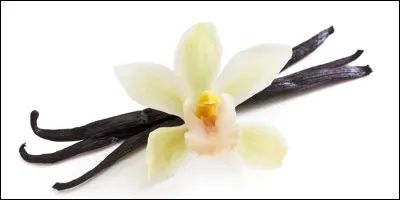 Quel est ce fruit provenant de la fleur de certaines orchidées qui a la forme d'une gousse remplie de milliers de graines parfumées ?