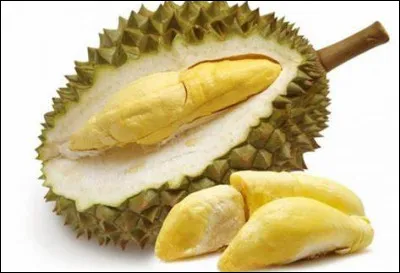 Quel est ce fruit tropical ovoïde avec une carapace à grosses épines qui renferme une chair au goût particulier qui dégage une forte odeur ?