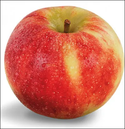 Quelle est cette variété de pomme rouge à tâches jaunes dont la chair blanche est sucrée et croquante ?