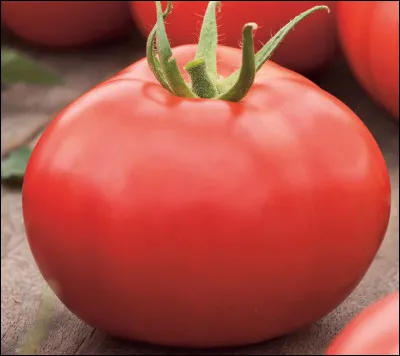 Quelle est cette variété de tomate parfumé et sucré, un gros fruit qui pèse entre 250g et 300g ?