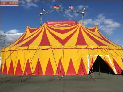 Ta meilleure amie te propose de monter un spectacle à montrer à votre ville. Tu lui dis :