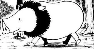 Quel est cet animal ?