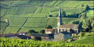 On rentre au bercail lô !