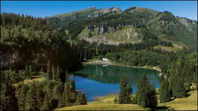 J'adore me promener dans les bois, c'est très relaxant.