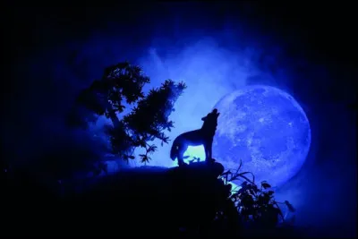 Ceci est fort horrifiant !