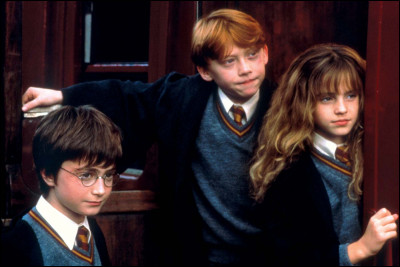 Comment le groupe Harry/Ron/Hermione est-il appelé par les « Potterheads » ?
