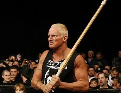 Dans quelle fdration est parti the sandman ?