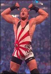 Pourquoi RVD a arrt sa carrire aprs one night stand 2007 ?