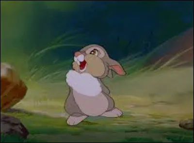 C'est le compagnon de Bambi.