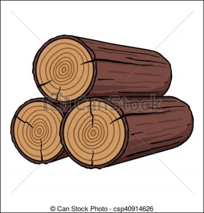 Qu'est-ce qui manque au mot "Ico", qui est une image religieuse peinte sur du bois ?