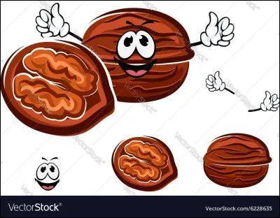 À quelle époque doit-on cueillir les noix pour obtenir le fameux vin de noix ?