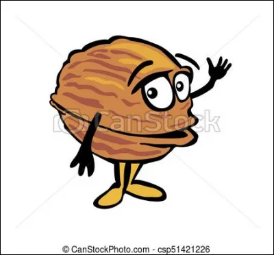 Quelle noix pousse sur l'anacardier ?