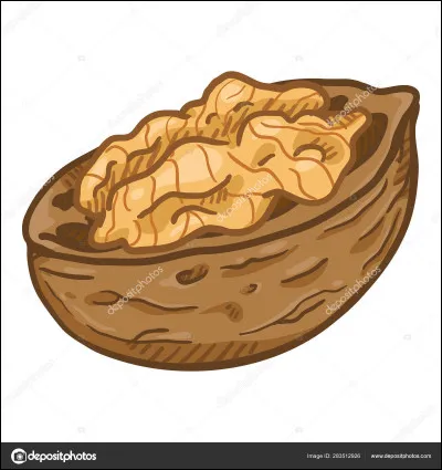 Dans quel conte une petite fille a-t-elle une coquille de noix pour berceau ?