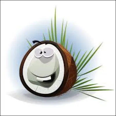 Quelle noix pousse sur le noyer du Queensland ?