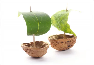 Lequel de ces bateaux n'est en général pas traité de "coquille de noix" ?