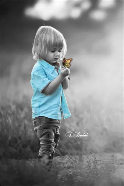 Qui chantait "Va-t-en jouer dans le jardin, il y fait meilleur ce matin, il y fait si beau ce matin" ?