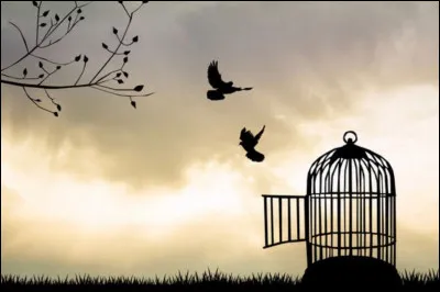 Dans sa chanson, Pierre Perret nous disait : "Regardez-les......c'est beau !