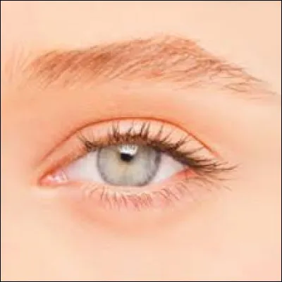 Pour donner un effet de lumière à l'&oelig;il, quelle couleur de fard à paupières faut-il mettre ?