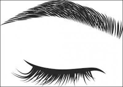 Pour avoir des sourcils parfaits, et ayant des sourcils peu fournis, que doit-on utiliser ?