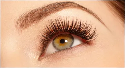 Pour avoir de cils parfaits, prenez un mascara...
