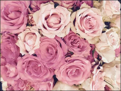 Aimes-tu les mangas et les fleurs roses ?