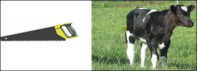 L'ensemble nous donne des alevins autrement nommés pibales.