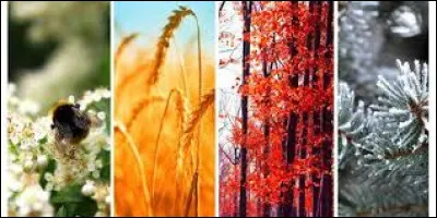 Quelle est ta saison préférée ?