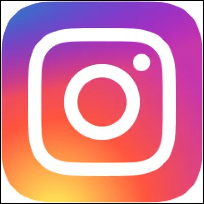 Quelles sont les deux issues possibles afin d'aboutir &agrave; la suppression de son compte Instagram ?