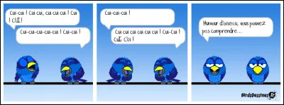 De ces trois oiseaux, l'un peut posséder les deux couleurs du titre de ce quiz !