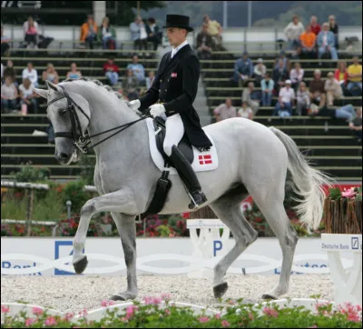 Cette disipline est originaire de l'équitation militaire.