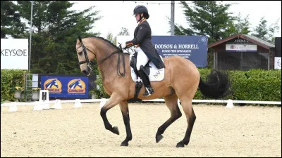 Ce sport est retrouvé aux Jeux olympiques.
