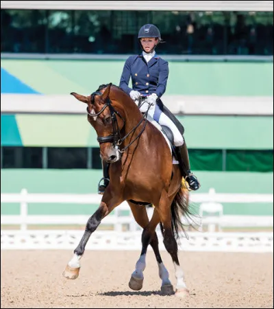 L'équipe cavalier-cheval est nommée "duo" dans cette discipline.