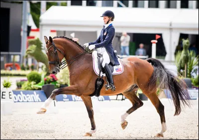 Pour maîtriser une telle activité, il faut au duo de longues années d'entraînement et de persistance avant de pouvoir être performant en compétition.