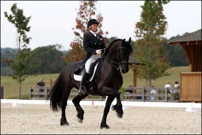 Le dressage fait partie du CCE.