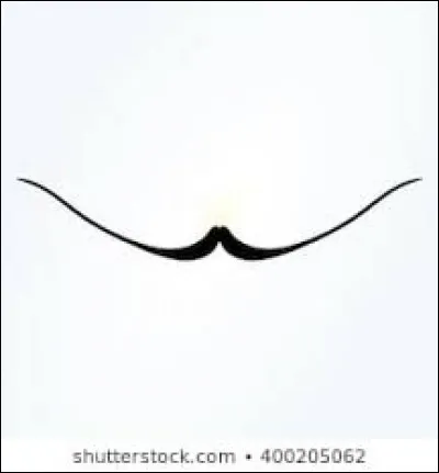 Trouvez le peintre à l'aide de la photo !