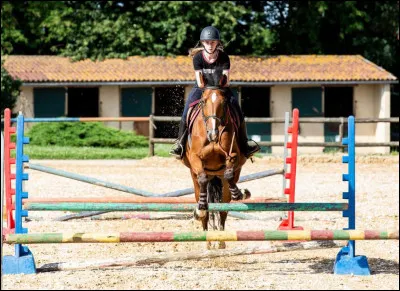 On dit que le cheval panache quand il refuse un obstacle.