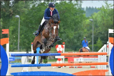 Ce sport consiste à réaliser un parcours comprenant généralement entre 10 et 12 obstacles.