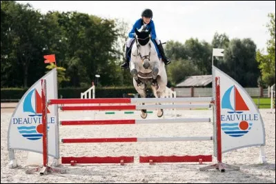 Le terrain sur lequel sont posés et où sont franchis les obstacles, est appelé "circuit".