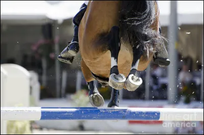Les obstacles sont mobiles.