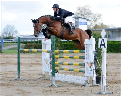 Le duo que forment cavalier et cheval est nommé "couple".