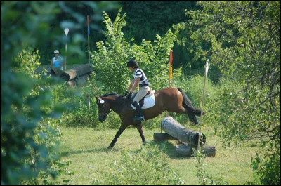Le cavalier doit montrer preuve de bonne direction, de respect et de confiance envers sa monture.