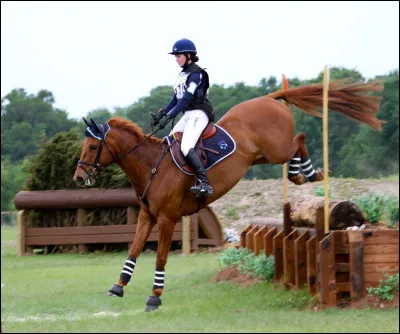 Cette disipline est retrouvée dans le CCE.