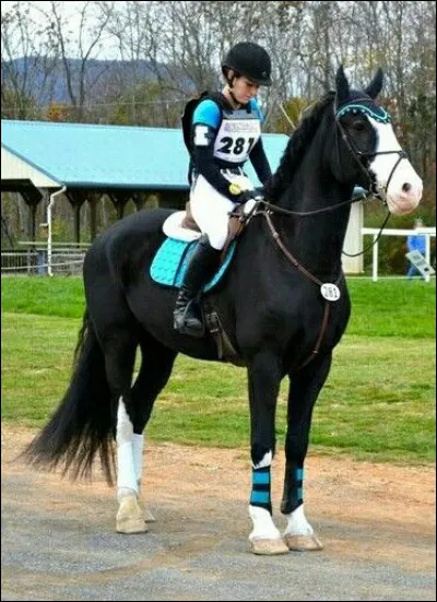 Cette épreuve consiste à sauter des obstacles mobiles.