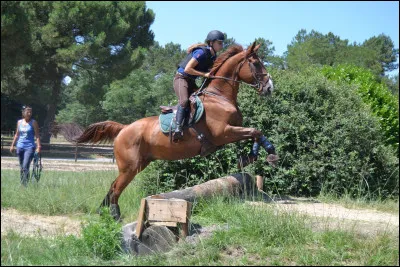Bien que nous ayons été encouragés à penser et à croire que le cross ait lieu seulement en extérieur, il n'est pas rare que tout se déroule en intérieur.