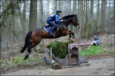 Les obstacles peuvent être placés n'importe où, sans mesures de précaution exagérées, même dans l'eau.