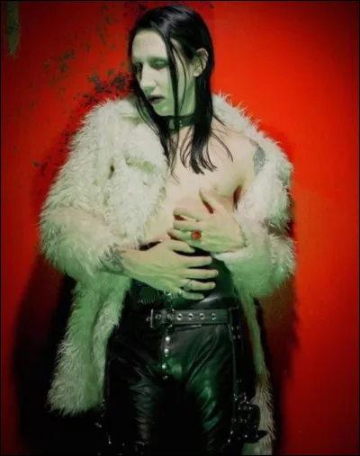 En 2003, Manson sort son album "The Golden Age of Grotesque". À partir de quelle idée a-t-il créé cet album ?