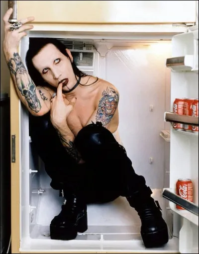 De quelle chanson provient cette phrase ?