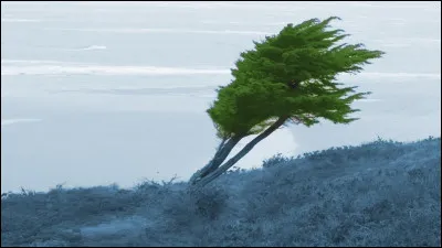 Combien d'esprits Élisée a-t-il reçus de la part d'Élie ?